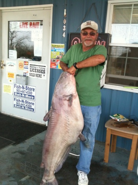 82.35lb Catfish